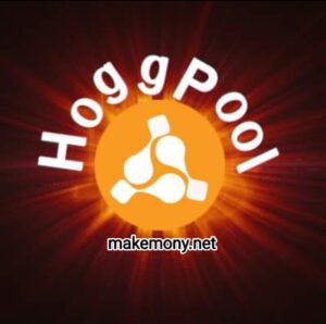 الاستثمار في منصة HOGGPOOL