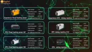 المنتجات الحالية لمنصة hoggpool لمصر