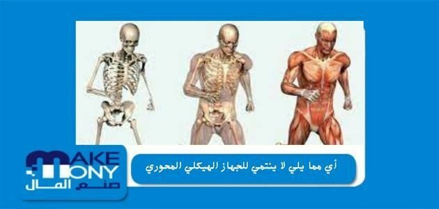 أي مما يلي لا ينتمي للجهاز الهيكلي المحوري