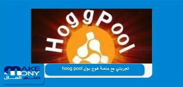 تجربتي مع منصة هوج بول hoog pool