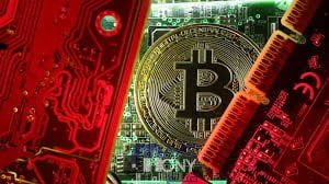 ما مصداقية منصة ريوت Roit blockchain