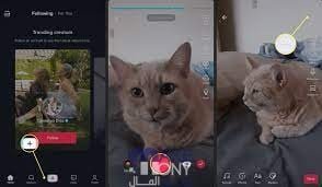 كيفية البحث عن فلاتر تيك توك