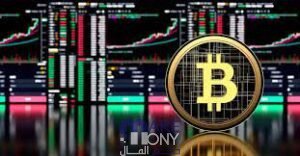 شرح الربح من منصة Riot Blockchain