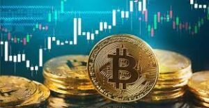 طريقة شحن في منصه Hoggpool