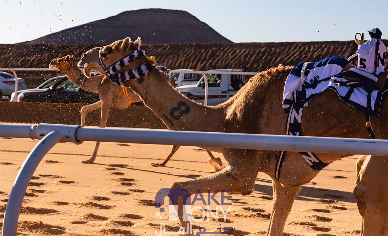 طريقة التسجيل في برنامج الجمل بما حمل