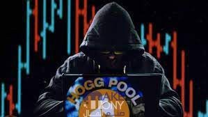 حقيقة القبض على اصحاب تطبيق هوج بول