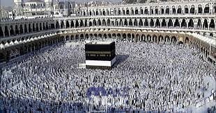 نتائج فرز الحج سلطنة عمان 2023 hajj.om