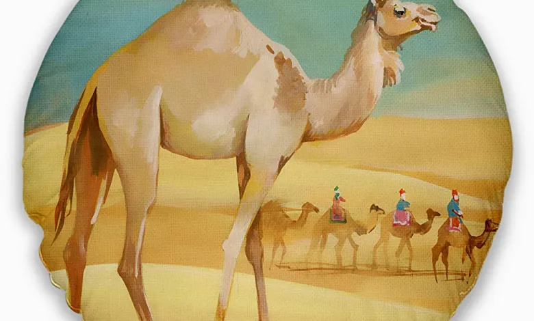 فهد عافت برنامج