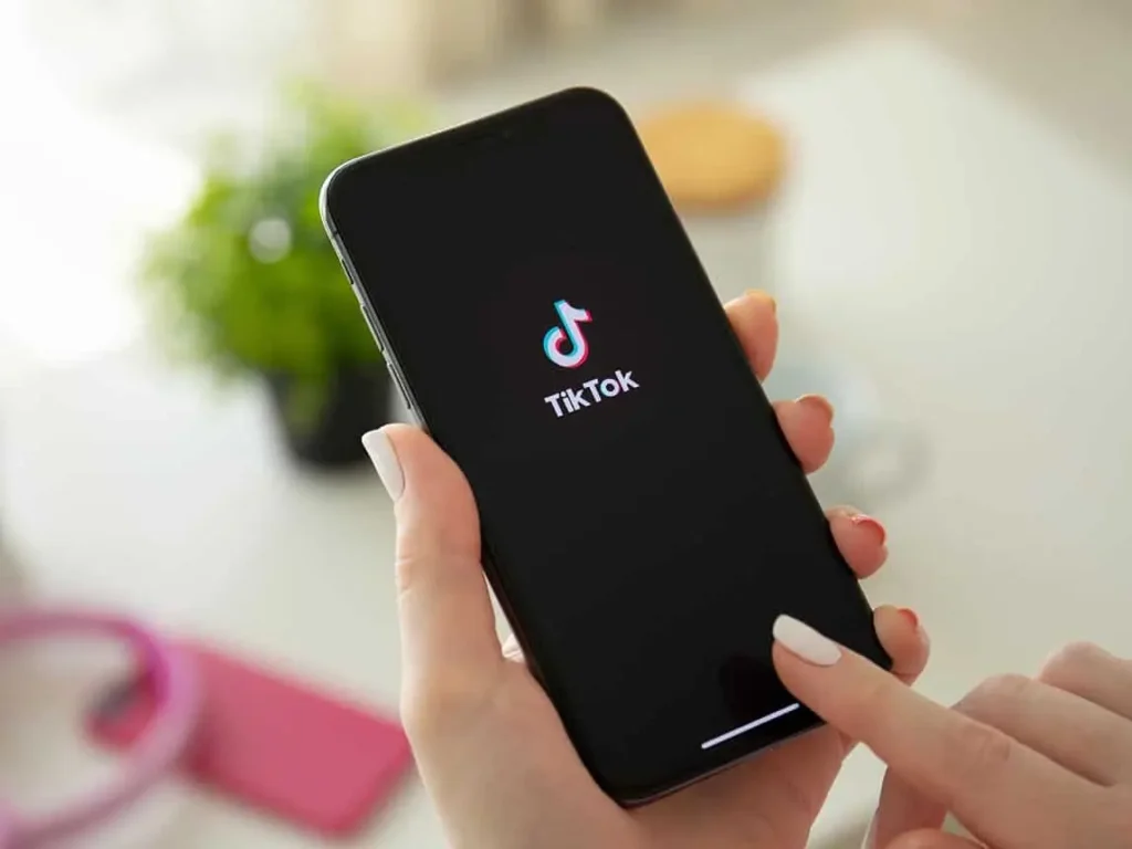 ما معنى جحفلة في التيك توك