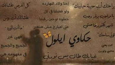 تحميل رواية ايلول وسيف كاملة جميع الفصول pdf