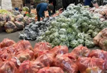 التسجيل في سلات الخضار المقدمة من جمعية الدراسات النسوية الفلسطينية