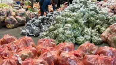 التسجيل في سلات الخضار المقدمة من جمعية الدراسات النسوية الفلسطينية