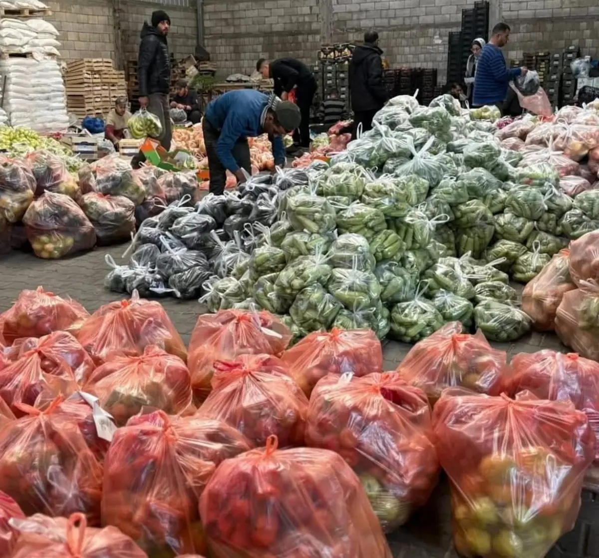 التسجيل في سلات الخضار المقدمة من جمعية الدراسات النسوية الفلسطينية